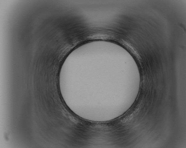 X0000091690529200709201300