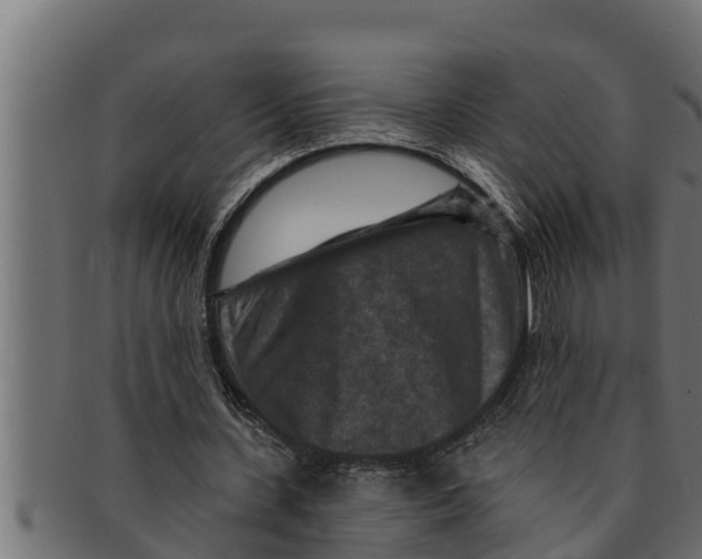 X0000091690531200709201300