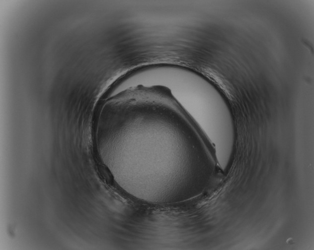 X0000091690532200709201300