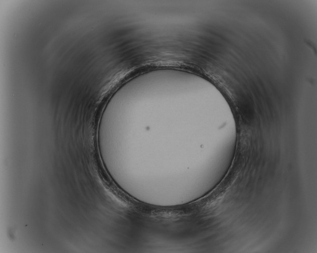 X0000091690533200709201300