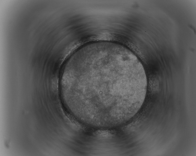 X0000091690534200709201300