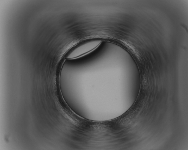 X0000091690535200709201300