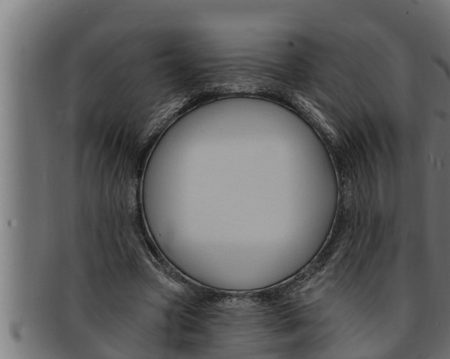 X0000091690537200709201300