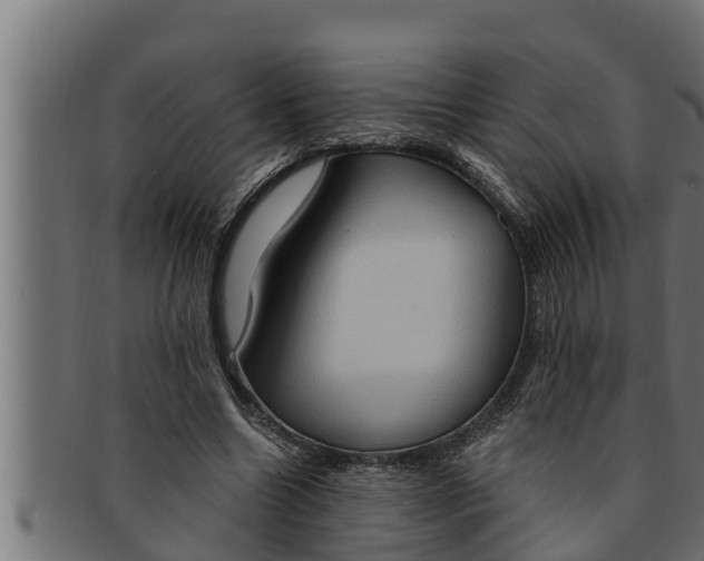 X0000091690538200709201300