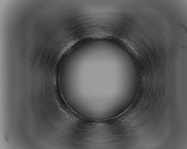 X0000091690539200709201300