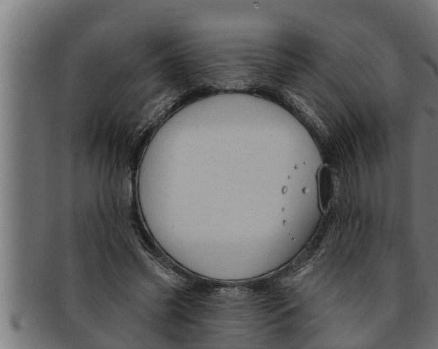 X0000091690541200709201300