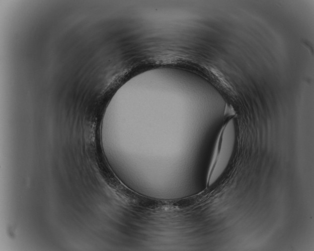 X0000091690543200709201300