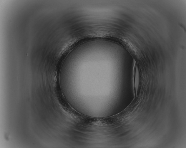 X0000091690544200709201300