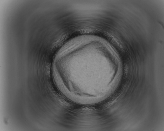 X0000091690545200709201300