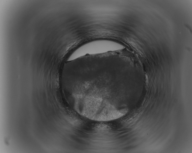 X0000091690547200709201300