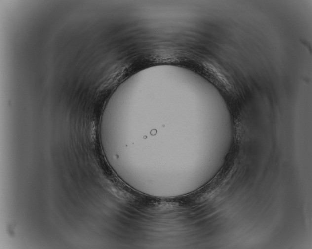 X0000091690549200709201300