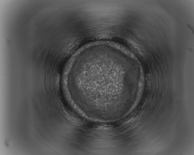 X0000091690550200709201300