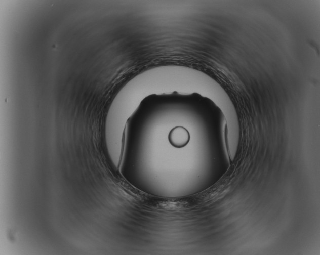 X0000091690558200709201300