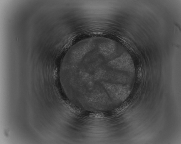 X0000091690559200709201300