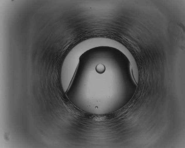 X0000091690560200709201300