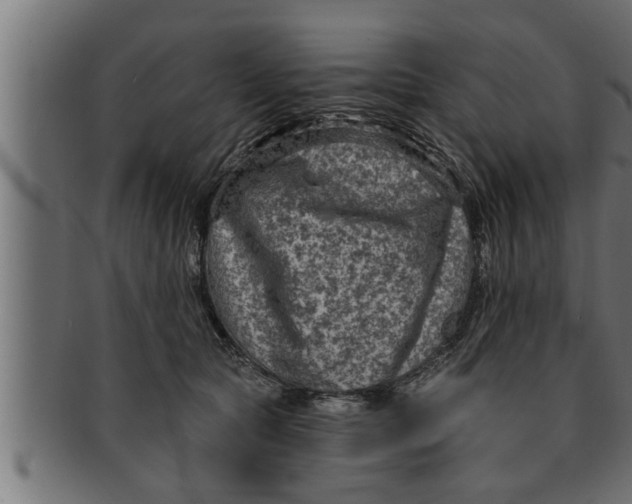 X0000091690561200709201300