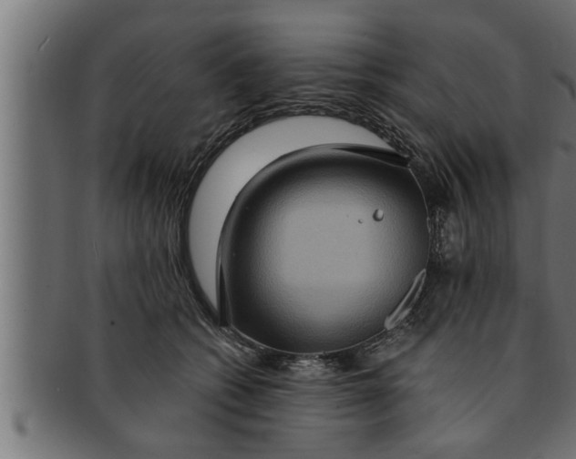 X0000091690562200709201300