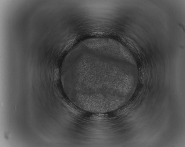 X0000091690563200709201300