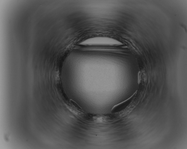 X0000091690564200709201300