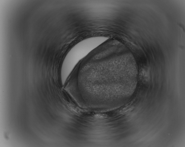 X0000091690566200709201300