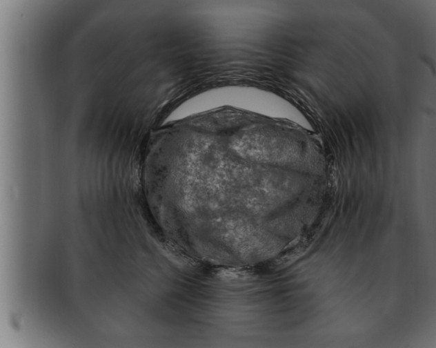 X0000091690568200709201300