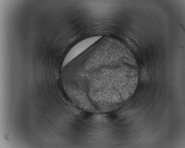 X0000091690569200709201300