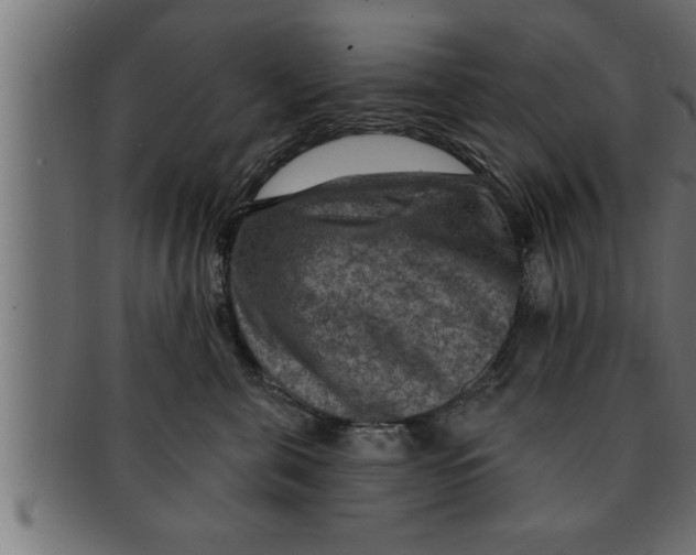 X0000091690571200709201300