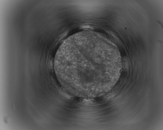 X0000091690573200709201300