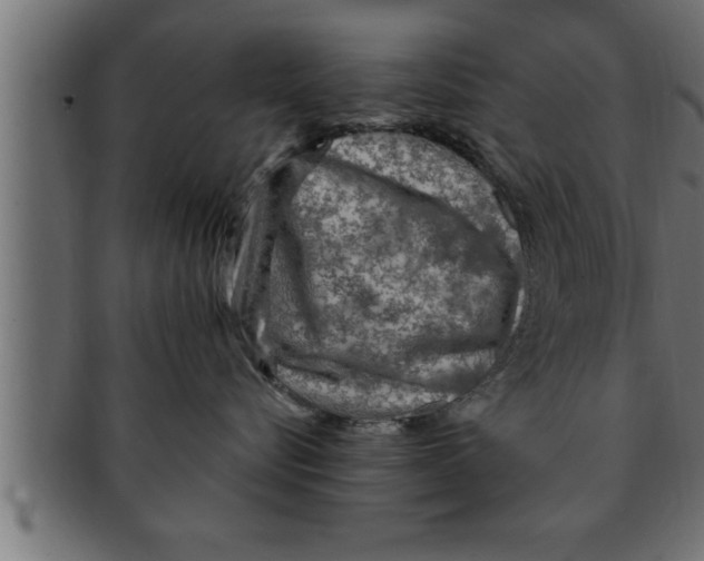 X0000091690576200709201300