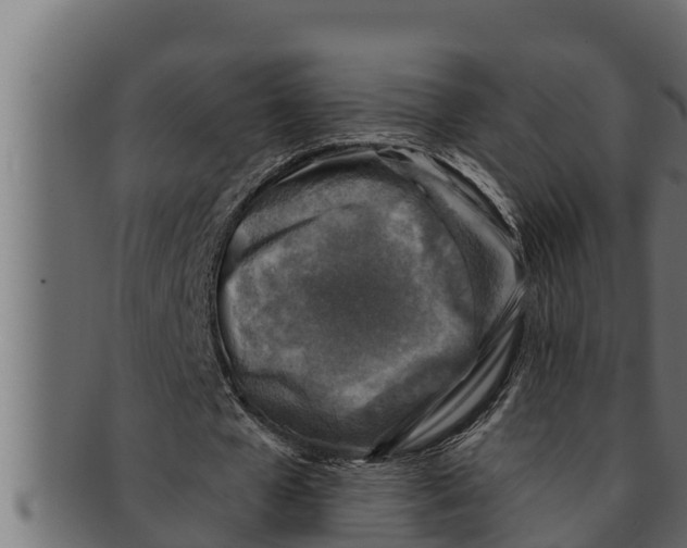 X0000091690577200709201300