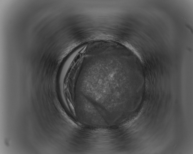 X0000091690581200709201300