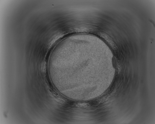 X0000091690583200709201300