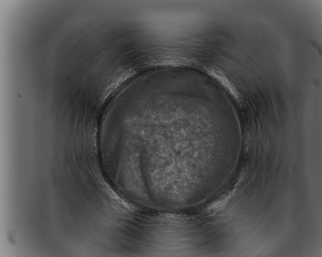 X0000091690585200709201300