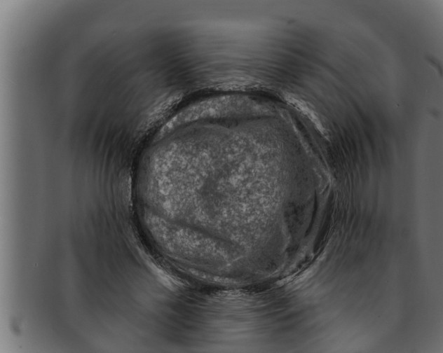 X0000091690589200709201300