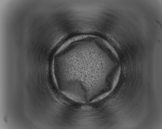 X0000091690591200709201300