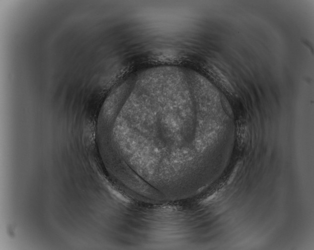 X0000091690593200709201300