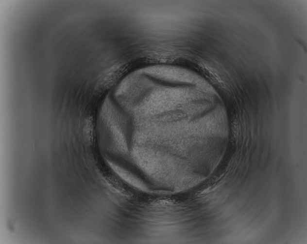 X0000091690594200709201300