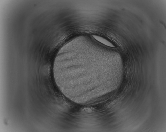 X0000091690595200709201300