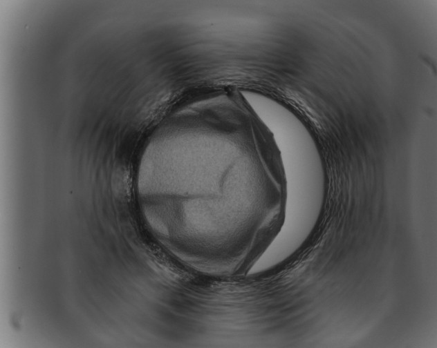 X0000091690597200709201300