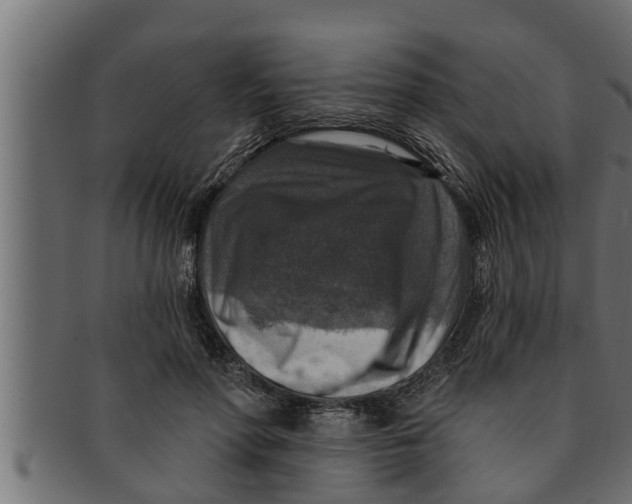 X0000091690598200709201300