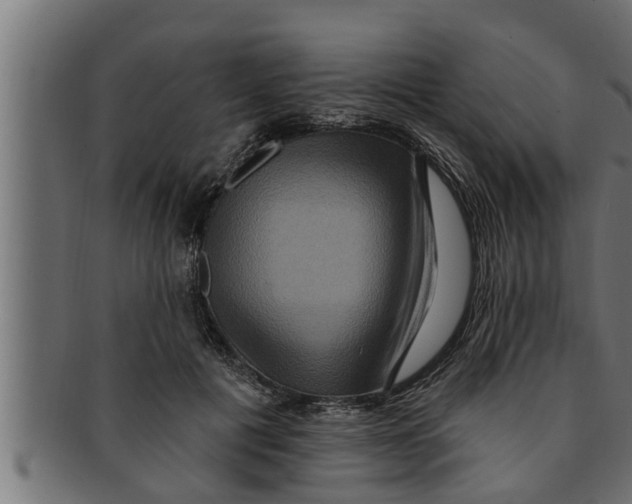 X0000091690601200709201300