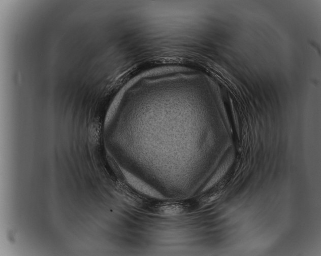 X0000091690604200709201300