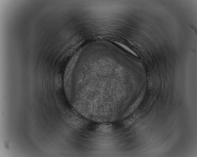 X0000091690606200709201300