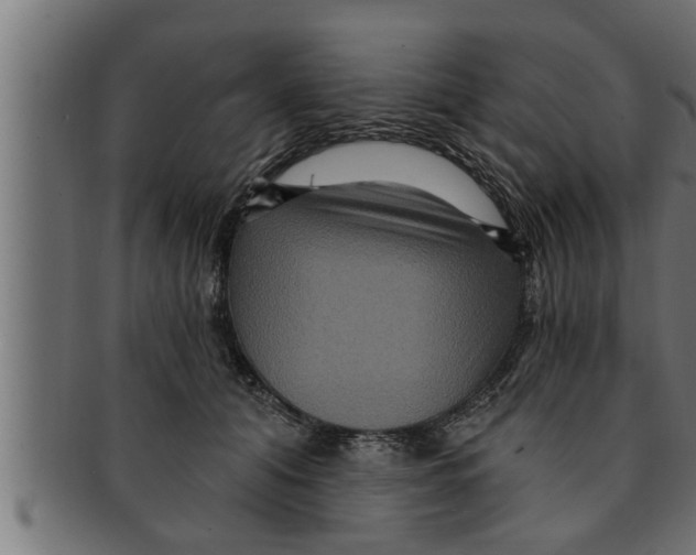 X0000091690608200709201259