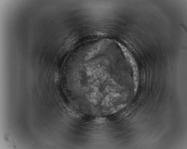 X0000091690609200709201259