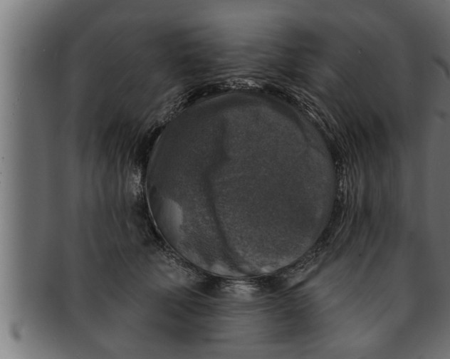 X0000091690610200709201259