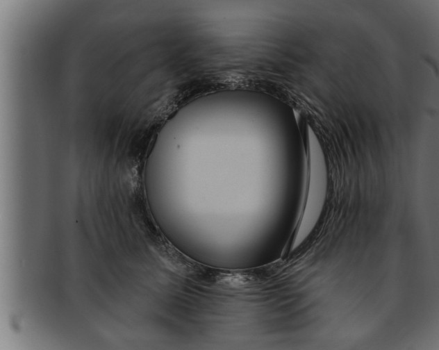 X0000091690611200709201259