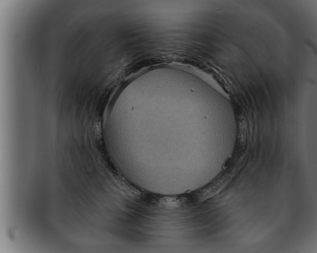 X0000091690613200709201259