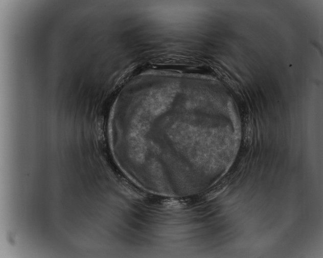 X0000091690616200709201259