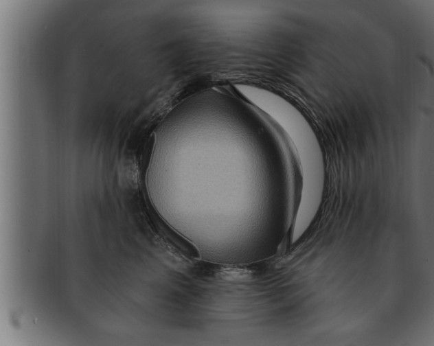 X0000091690617200709201259